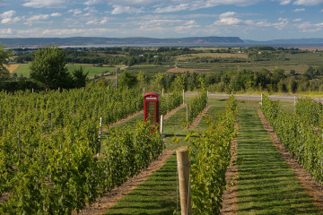 Luckett Vineyards, Gaspereau, Valley_Nova_Scotia_Canada